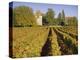 Vineyards, Aloxe Corton, Cote d'Or, Burgundy, France, Europe-John Miller-Premier Image Canvas