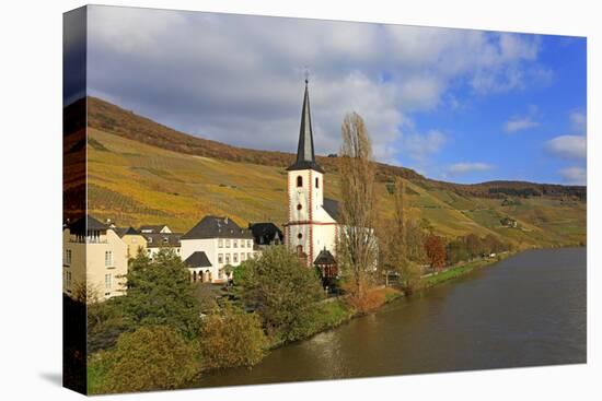 Vineyards and church near Piesport, Moselle Valley, Rhineland-Palatinate, Germany, Europe-Hans-Peter Merten-Premier Image Canvas