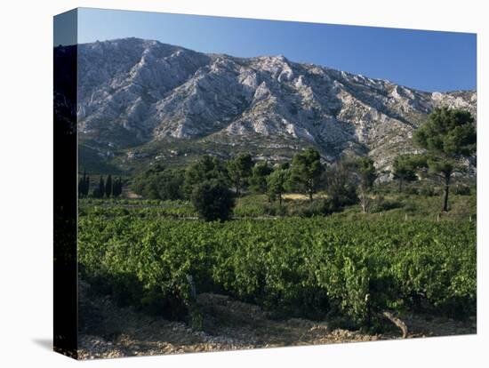 Vineyards and Montagne Ste. Victoire, Near Aix-En-Provence, Bouches-Du-Rhone, Provence, France-David Hughes-Premier Image Canvas