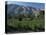 Vineyards and Montagne Ste. Victoire, Near Aix-En-Provence, Bouches-Du-Rhone, Provence, France-David Hughes-Premier Image Canvas