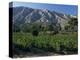 Vineyards and Montagne Ste. Victoire, Near Aix-En-Provence, Bouches-Du-Rhone, Provence, France-David Hughes-Premier Image Canvas