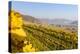 Vineyards and View at Wei�nkirchen and the Danube, Austria-Volker Preusser-Premier Image Canvas