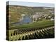 Vineyards and Village of Machtum, Mosel Valley, Luxembourg, Europe-Hans Peter Merten-Premier Image Canvas