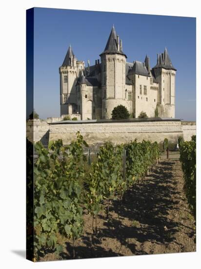 Vineyards around the Chateau De Saumur, Maine-et-Loire, Pays De La Loire, France, Europe-James Emmerson-Premier Image Canvas