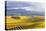 Vineyards at Sunrise, Blenheim, Marlborough, South Island, New Zealand-Matteo Colombo-Premier Image Canvas