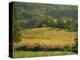 Vineyards in Autumn, Near Arbois, Jura, Franche Comte, France-Michael Busselle-Premier Image Canvas