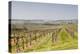 Vineyards in the Cognac Area of France, Charente Maritime, France, Europe-Julian Elliott-Premier Image Canvas