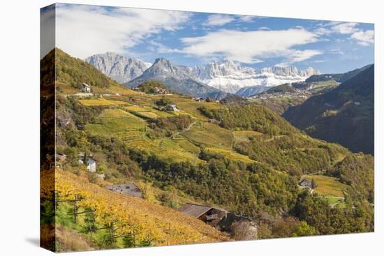 Vineyards Near Bolzano, Trentino-Alto Adige, Suedtirol, Italy-Peter Adams-Premier Image Canvas