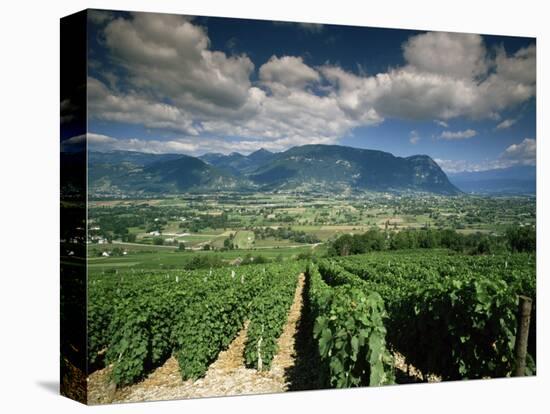 Vineyards Near Chambery, Savoie, Rhone Alpes, France-Michael Busselle-Premier Image Canvas