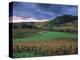 Vineyards Near Chateau Chalon, Jura, Franche Comte, France-Michael Busselle-Premier Image Canvas