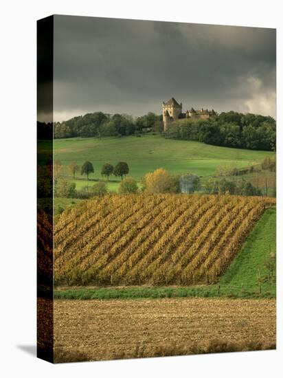 Vineyards Near Lons Le Saunier, Jura, Rhone Alpes, France-Michael Busselle-Premier Image Canvas