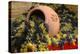 Vineyards near Monte Falco-Terry Eggers-Premier Image Canvas