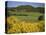 Vineyards Near Moureze, Herault, Languedoc-Roussillon, France-Michael Busselle-Premier Image Canvas