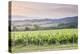 Vineyards Near to Montefalco, Umbria, Italy, Europe-Julian Elliott-Premier Image Canvas
