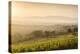 Vineyards Near to Montefalco, Umbria, Ittaly, Europe-Julian Elliott-Premier Image Canvas