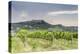 Vineyards near to Todi, Umbria, Italy, Europe-Julian Elliott-Premier Image Canvas