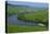 Vineyards near Trittenheim, Moselle Valley, Rhineland-Palatinate, Germany, Europe-Hans-Peter Merten-Premier Image Canvas