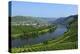 Vineyards near Trittenheim, Moselle Valley, Rhineland-Palatinate, Germany, Europe-Hans-Peter Merten-Premier Image Canvas