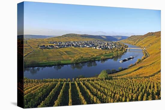 Vineyards near Trittenheim, Moselle Valley, Rhineland-Palatinate, Germany, Europe-Hans-Peter Merten-Premier Image Canvas