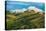 Vineyards of Langhe, Piedmont, UNESCO World Heritage-javarman-Premier Image Canvas