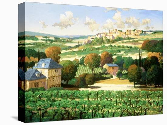 Vineyards of Provence-Max Hayslette-Premier Image Canvas