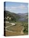 Vineyards of Quinta Do Mourao, Near Regua, Portugal-Sheila Terry-Premier Image Canvas