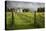 Vineyards of the Cambridge Road Winery-Stuart-Premier Image Canvas