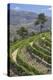 Vineyards of the Douro Valley, Pinhao, Portugal-Julie Eggers-Premier Image Canvas