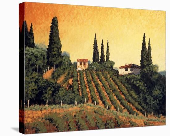 Vineyards of Tuscany-Santo De Vita-Stretched Canvas