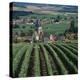 Vineyards of Ville Domange, North Side of Montagne De Reims-Joe Cornish-Premier Image Canvas