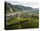 Vineyards of Weissenkirchen In The Wachau, Austria-Martin Zwick-Premier Image Canvas