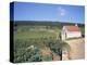 Vineyards on Route Des Grands Crus, Nuits St. Georges, Dijon, Burgundy, France-Geoff Renner-Premier Image Canvas