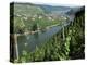 Vineyards on Slopes Above the Mosel River, Gravenburg, Germany, Europe-Oliviero Olivieri-Premier Image Canvas