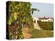 Vineyards, Petit Verdot Vines and Winery, Chateau De La Tour, Bordeaux, France-Per Karlsson-Premier Image Canvas