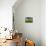 Vineyards, St. Emilion, Gironde, France, Europe-Robert Cundy-Premier Image Canvas displayed on a wall