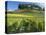 Vineyards, St. Emilion, Gironde, France, Europe-Robert Cundy-Premier Image Canvas