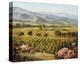 Vineyards to Vaca Mountains-Ellie Freudenstein-Stretched Canvas