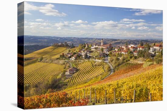 Vineyards, Treiso, Alba, Langhe, Piedmont, Italy-Peter Adams-Premier Image Canvas