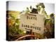 Vineyards-Ian Shive-Premier Image Canvas