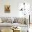 Vino Italiano-Anderson Design Group-Stretched Canvas displayed on a wall