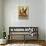 Vino Italiano-Anderson Design Group-Stretched Canvas displayed on a wall