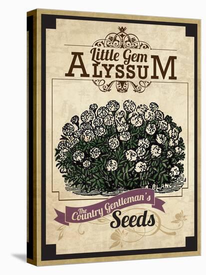 Vintage Alyssum Seed Packet-null-Premier Image Canvas