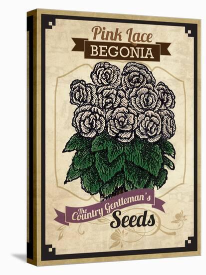 Vintage Begonia Seed Packet-null-Premier Image Canvas