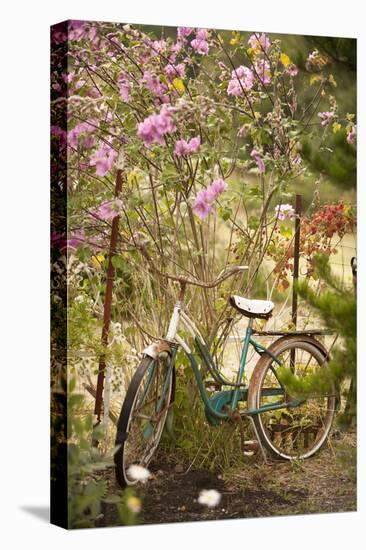 Vintage Bicycle IV-Philip Clayton-thompson-Premier Image Canvas