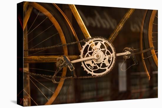 Vintage Bicycle-Erin Berzel-Premier Image Canvas