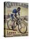 Vintage Bicycle-null-Premier Image Canvas