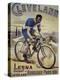 Vintage Bicycle-null-Premier Image Canvas