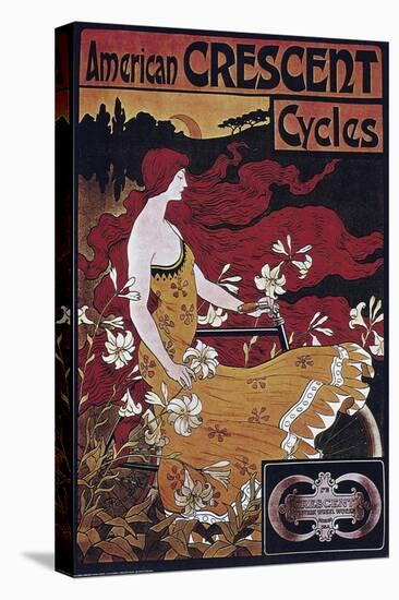 Vintage Bicycle-null-Premier Image Canvas