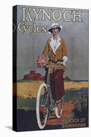 Vintage Bicycle-null-Premier Image Canvas