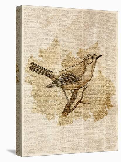 Vintage Bird II-null-Stretched Canvas
